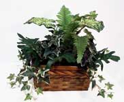 Planter Basket